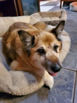 Tillie J. review photo