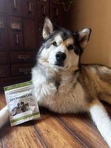 Skye review photo