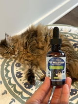 Daiana review photo