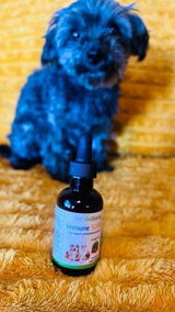 Cyntia review photo