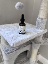Melina review photo
