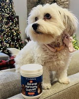 MOLLY review photo