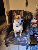 Debra L. review photo