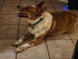 Debra L. review photo