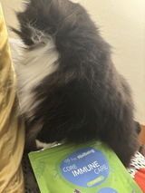Juju review photo