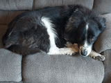 Kathryn S. review photo