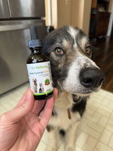 Baylee review photo