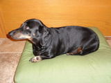 John M. review photo