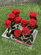 W.l.T. review photo