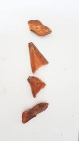 Claludia C.M. review photo