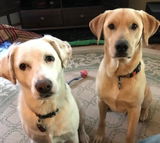 Bev review photo
