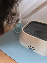 Ruffles &.C. review photo