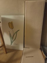 a. review photo