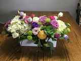 Jo Ann Searls review photo