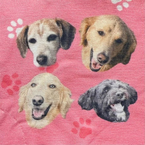 PetFacePajamas