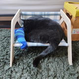 Jessie review photo