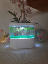 Trisha Swan review photo