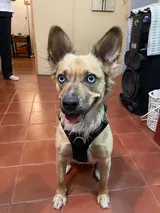 Laura review photo