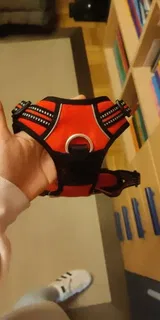 Benita review photo