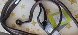 Alessandra Langworth review photo