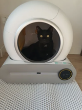 Lisa review photo