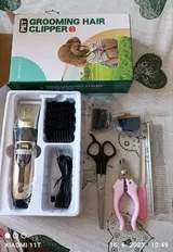 Zelda review photo
