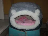 Tiara review photo