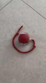 Anna S. review photo