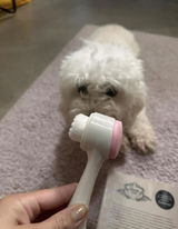 Sofie review photo