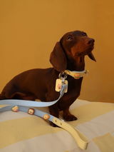Otto’s Mom review photo