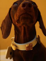 Otto’s Mom review photo