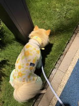 Chloe & Butter review photo