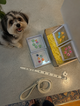 Katie & Luna review photo