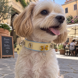 Giulia Romano review photo