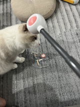 Joe review photo