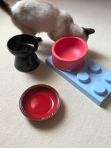 Aurora P review photo