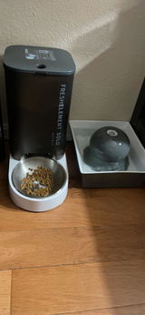 Ivan R. review photo