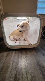 Linda review photo