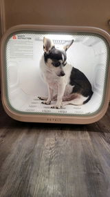 Linda review photo