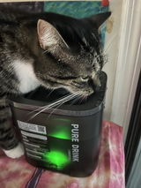 KT review photo