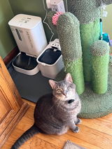 PAMW review photo