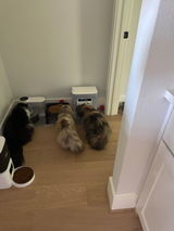 AngieB review photo