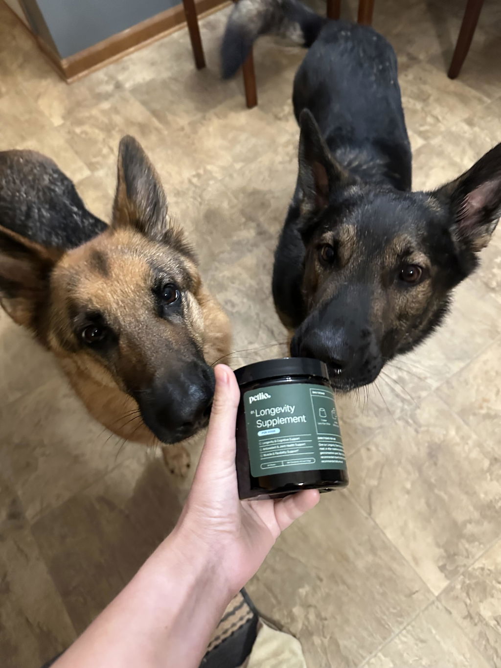 Longevity+ For Dogs