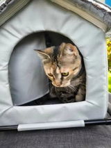 Cassandra review photo