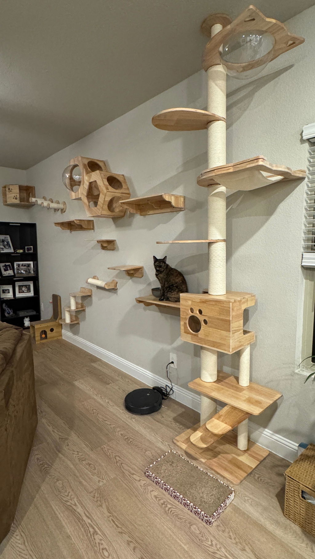 Large Hexagon Cat Wall House,CM23