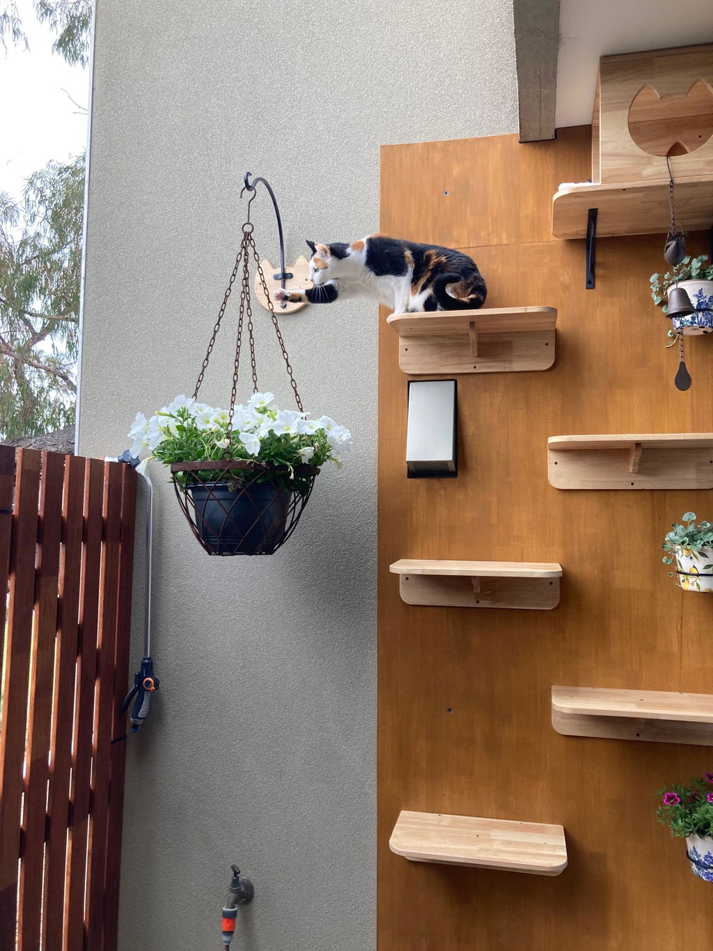 Large Double-Level Cat Wall Perch,CM12