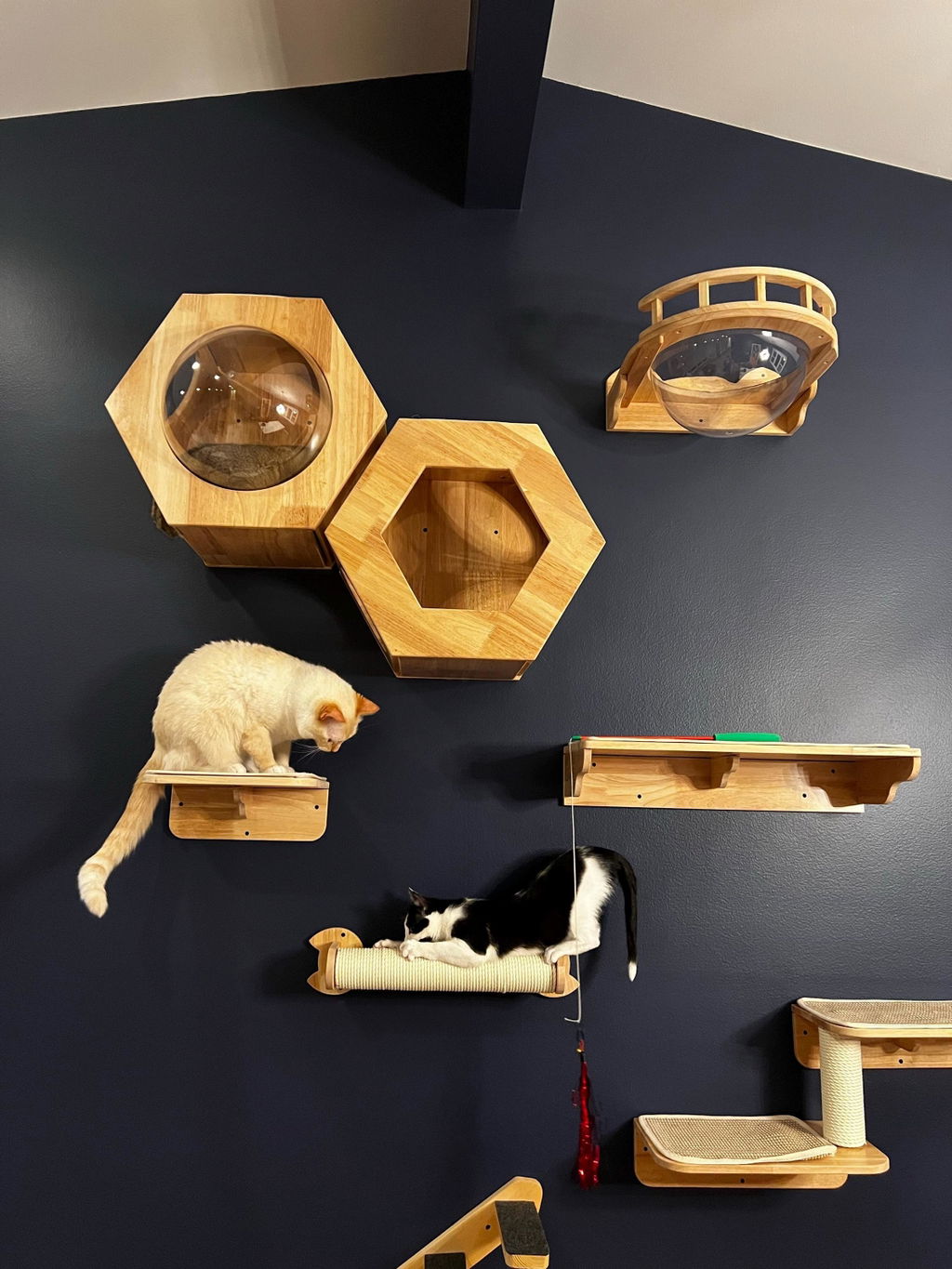 Cat Wall Scratching Bar,CM18