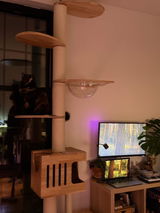 Cat lover review photo