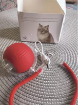 佐藤 review photo