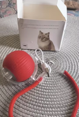 佐藤 review photo
